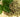 The Many Ways Oregano Oil Aids Digestion
