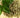 The Many Ways Oregano Oil Aids Digestion