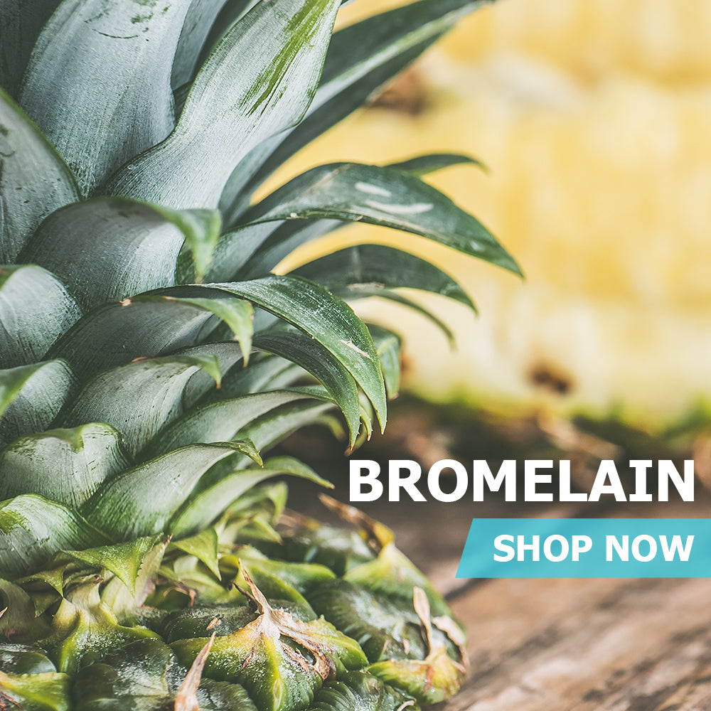 bromelain pineapple plant Bromelain (Pineapple Powder)