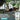 Dextrose Monohydrate