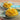 African Mango Seed Extract Powder