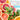 Grapefruit Seed Extract Powder