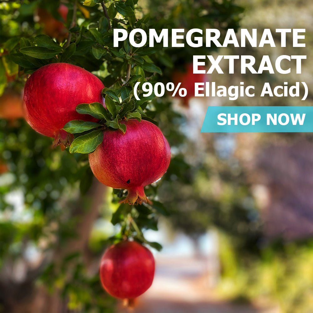 Pomegranate Extract 90% - High-Potency Antioxidant PureBulk, Inc. Pomegranate Extract 90% - High-Potency Antioxidant PureBulk, Inc.
