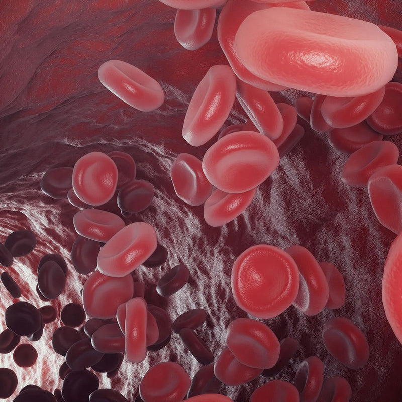 Five Leading Supplements To Boost Your Immune System
