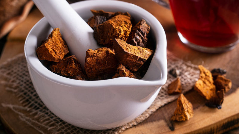 4 Ways Chaga Mushrooms Support Health