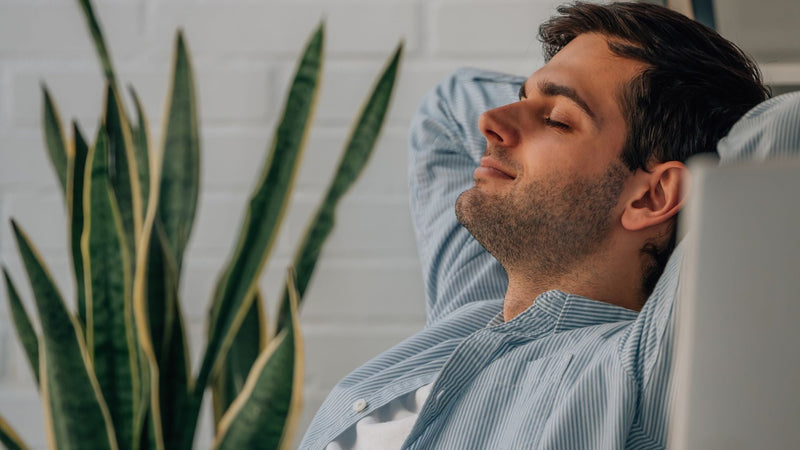 How L-Theanine Can Promote Relaxation and Reduce Stress