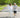 The Future of Vitality: Navigating Healthy Aging with NMN