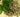The Many Ways Oregano Oil Aids Digestion