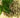 The Many Ways Oregano Oil Aids Digestion