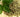 The Many Ways Oregano Oil Aids Digestion