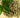 The Many Ways Oregano Oil Aids Digestion