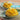 African Mango Seed Extract Powder
