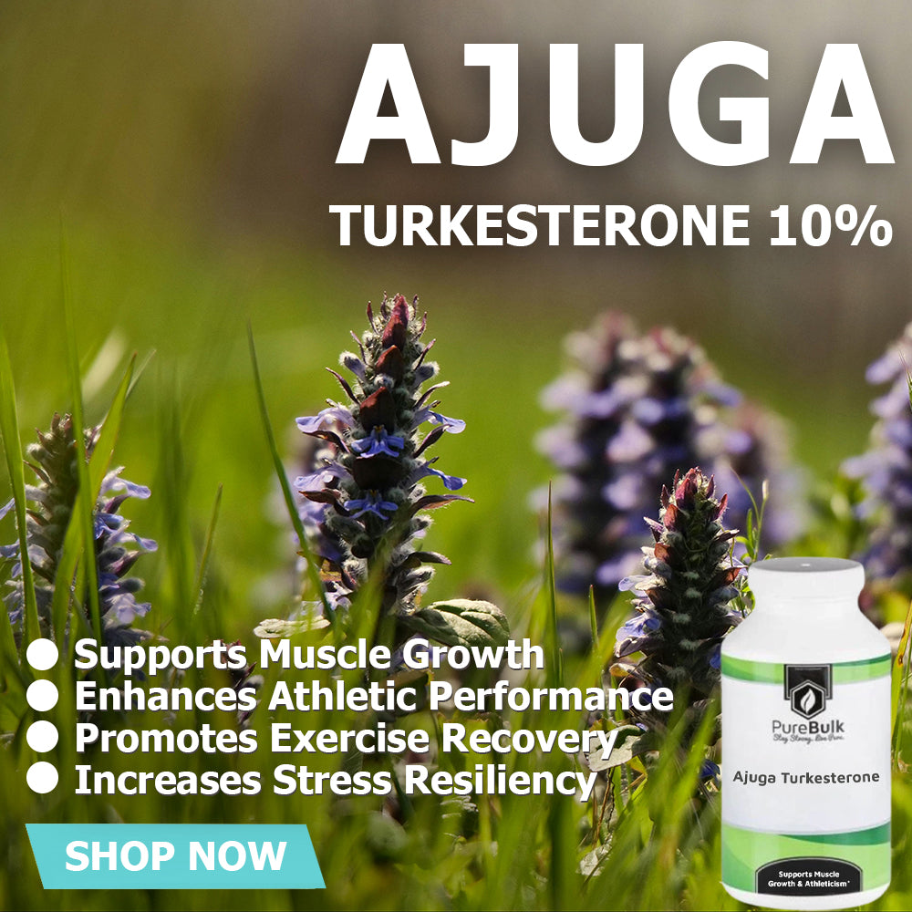 ajuga turkestanica plant seeds Ajuga Turkesterone 10%