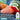 Astaxanthin Softgels Bulk