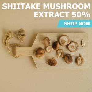 Shiitake Mushroom  Extract 50%