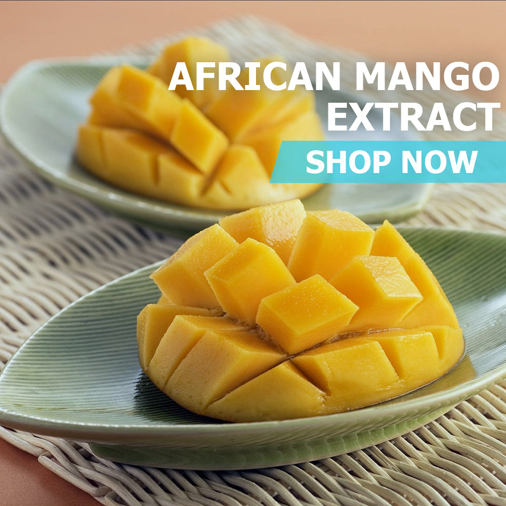 African Mango Seed Extract Powder Bulk