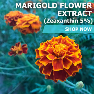 Marigold Flower Extract (Zeaxanthin 5%)