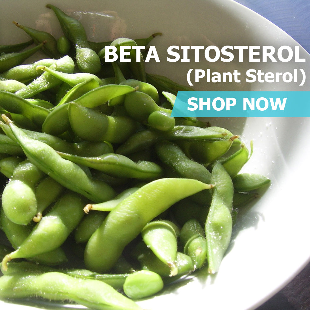 Beta Sitosterol Powder - Plant Sterol