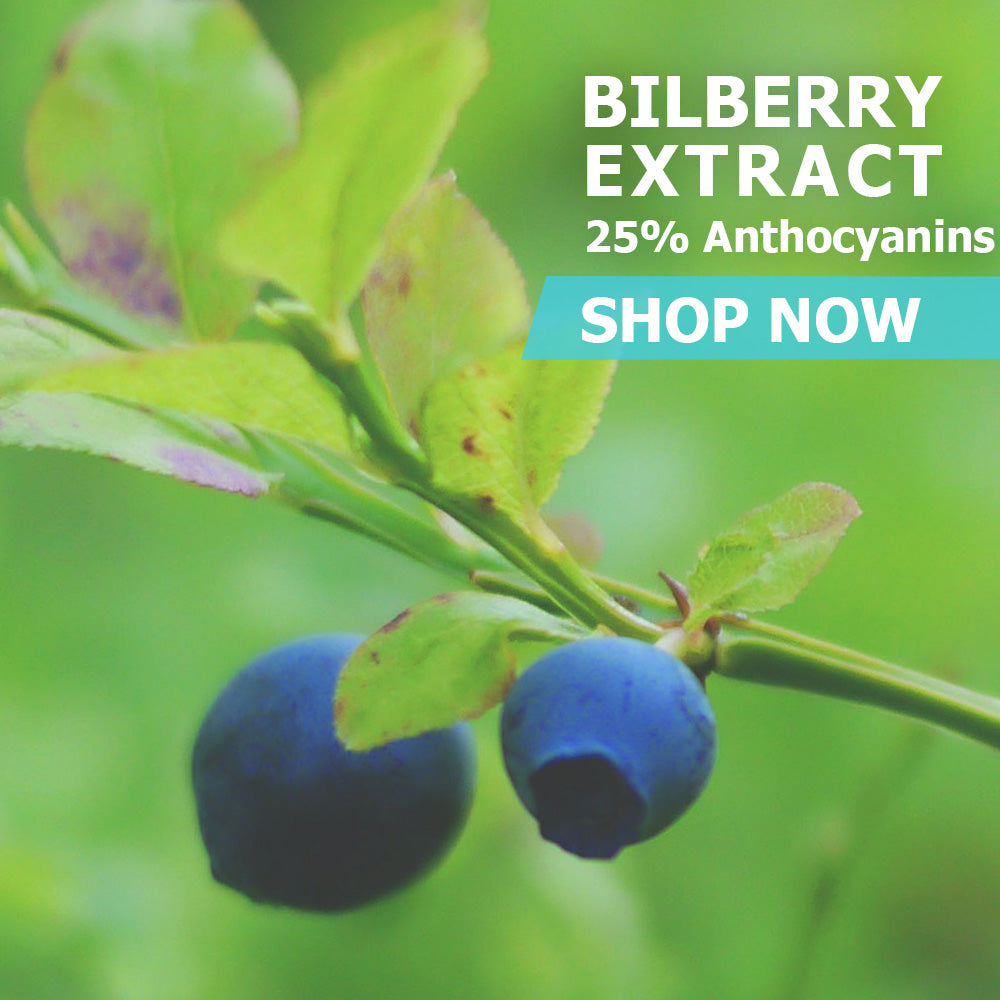 Bilberry (European) Fruit Extract (25% Anthocyanins) Powder