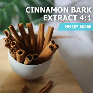 Cinnamon Bark Extract 4:1 Powder
