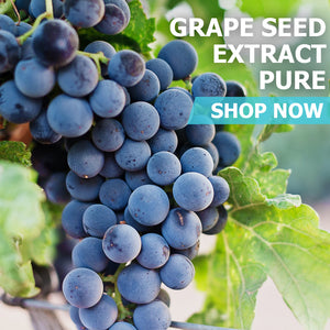 Grape Seed Extract Powder Pure