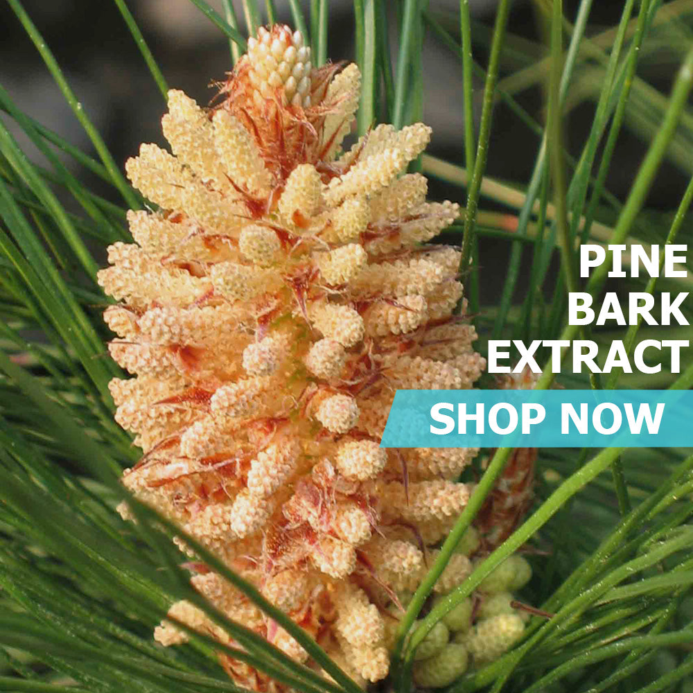 Pine Bark Extract Powder Pure Bulk Supplements PureBulk, Inc.