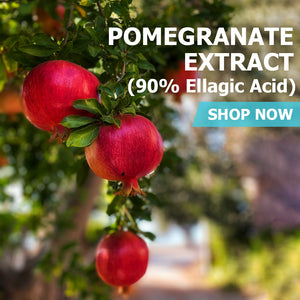 Pomegranate Extract (90% Ellagic Acid)