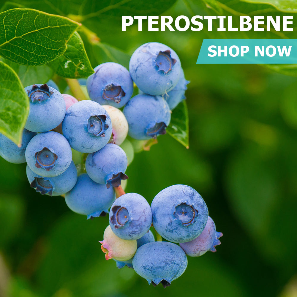 Pterostilbene