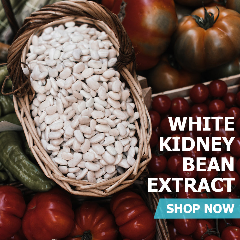 White Kidney Bean Extract